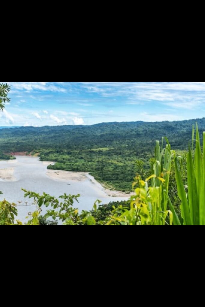 Best-Places-To-See-Wildlife-Yasuni-National-Park-Main-500x350