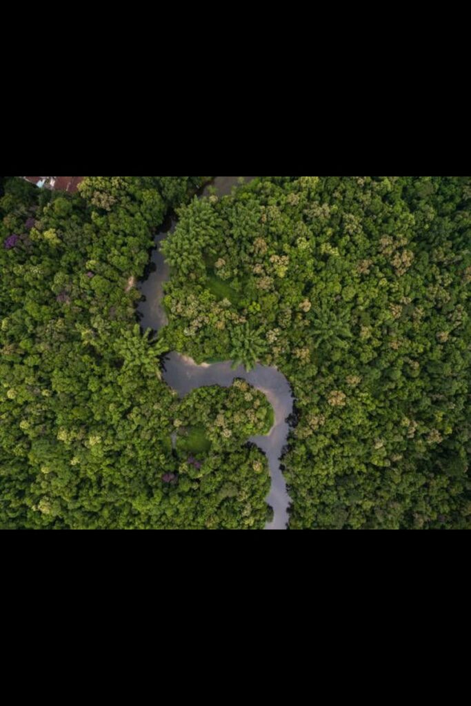 aerial-view-of-rainforest-in-brazil